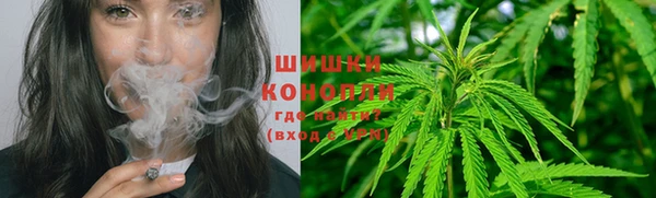 тгк Каменка