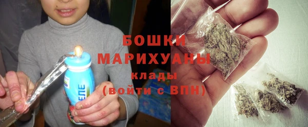 тгк Каменка