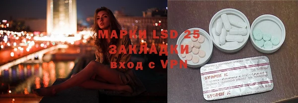 тгк Каменка