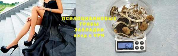 каннабис Каменногорск