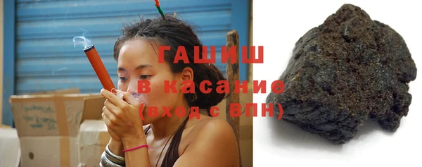 тгк Каменка