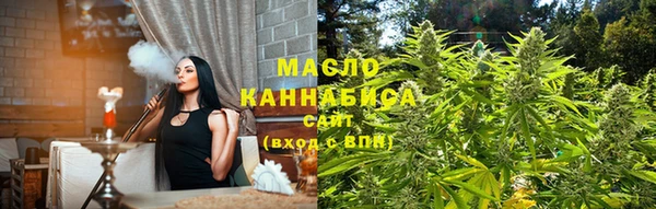 тгк Каменка
