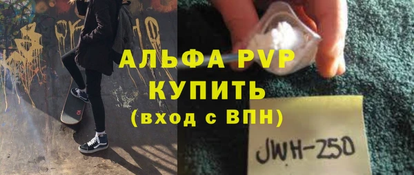 тгк Каменка