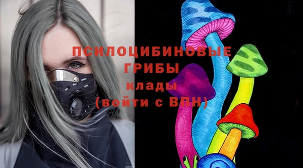 каннабис Каменногорск