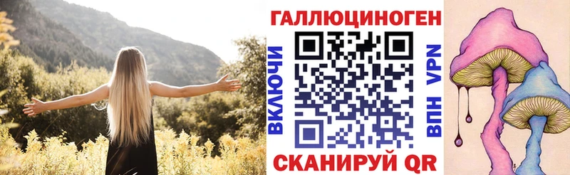 Галлюциногенные грибы мицелий  Купить  Горно-Алтайск 
